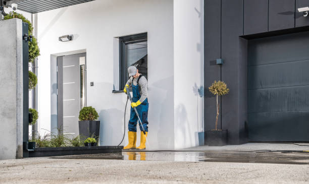 Pre-Holiday Cleaning in Lyford, TX